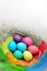 Seven chicken easter eggs coloring in rainbow colors are in a hay nest with ostrich colorful feathers