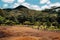 Seven colored earths in Mauritius, nature reserve, Chamarel. The green forest is behind us.Mauritius island