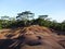 Seven coloured earth in Chamarel, Mauritius