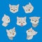 Seven cute feline muzzles in cartoon style