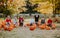 Seven cute kids sitting on a pumpkin`s field. Autumn background