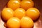 Seven egg yolks in capper bowl , close up, top view, close up