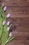 Seven pink tulips on wooden background