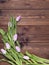 Seven pink tulips on wooden background