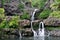 Seven Sacred Pools of Ohio, Maui, Hawaii