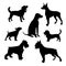 Seven silhouettes of dogs