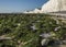 Seven Sisters, East Sussex, England - green seaweed and white cliffs.