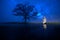 Seven Stars Tree with Milky Way Background - Make a Wish with Lone Oak Tree