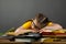 Seven years old child reading a book at home. Boy studying at table