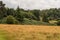 Sevenoaks countryside