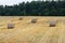 Several bales