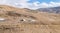 Several Bedouin tents in the desert near the capital of Jordan - Amman