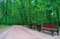 Several benches along a walkway in a summer park