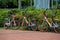 Several bicycles for free use stand on the street in Singapore, bicycles with tubeless wheels with baskets in front