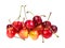 Several bing variety cherries