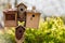 Several birdhouses and a bird feeder on a stick.