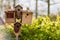 Several birdhouses and a bird feeder on a stick.