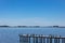 Several birds called cormorants on the dock of Laguna de Gomez in Junin sunbathing