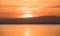 several birds migrating sunset in Albufera of Valencia, Valencia, Spain.