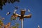 Several birds on a street lamp.