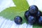 Several black currant berries close-up.