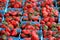 Several blue containers filled with fresh picked strawberries, displayed at local farmers market