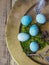 Several blue quail eggs on a large copper tray