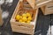 Several boxes on a wooden deck with some lemons