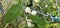 Several bright white common snowberries (Symphoricarpos albus) hang on a branch