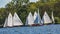 Several Brown boats racing on Wroxham Broad, Norfolk