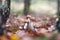 Several brown cap boletuses in autumn forest