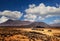 Several buggies are in line on Wonderful desert landscape