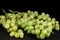 Several bunches of table grapes isolated on black background