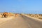 Several camels running across the road