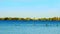 Several Canada Geese, Branta canadensis, flying and landing on a Minnesota lake where other geese are swimming. Autumn colors.