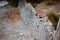 Several cats are sitting on an old ruined stone wall