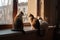 several cats sitting on windowsill, watching the outside world