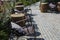 Several chairs with cushions and wooden logs as tables