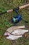 Several common bream fish, crucian fish, roach fish, bleak fish on the natural background. Catching freshwater fish and fishing