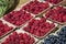 Several Containers Full of Fresh Raspberries and Blueberries