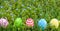 Several Easter colored eggs hanging on a tree branch color sunny spring day.