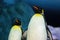 Several emperor penguins on the frosty Antarctica night