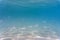 Several fish in the water of the Aegean Sea against the backdrop of a sandy bottom. Underwater photo, selective focus.