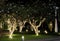 Several flowering trees, decorated with decorative lights. White flowers. Night scene