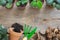 Several flowerpot of houseplants, equipment for pot plants. Copy space for text. Top view, flat lay.