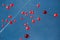 Several flying red heart-shaped balloons in blue sky at wedding