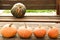 Several, four small orange pumpkins