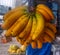 several fresh yellow bananas hanging with raffia rope in a fruit shop