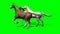 Several Galloping Horses on green screen