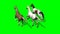 Several Galloping Horses on green screen